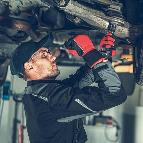 hm who are we cl 011